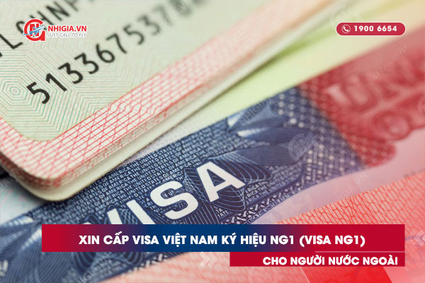 Xin cấp Visa Việt Nam ký hiệu NG1 (visa NG1) cho người nước ngoài